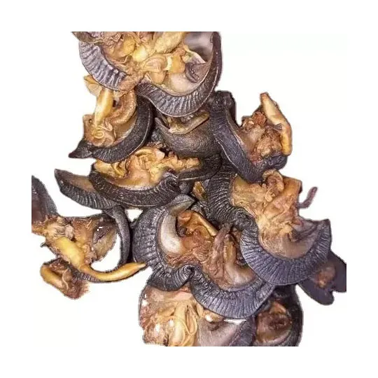 Dried Giant African Land Snails for sale High Quality Edible Dried Snails