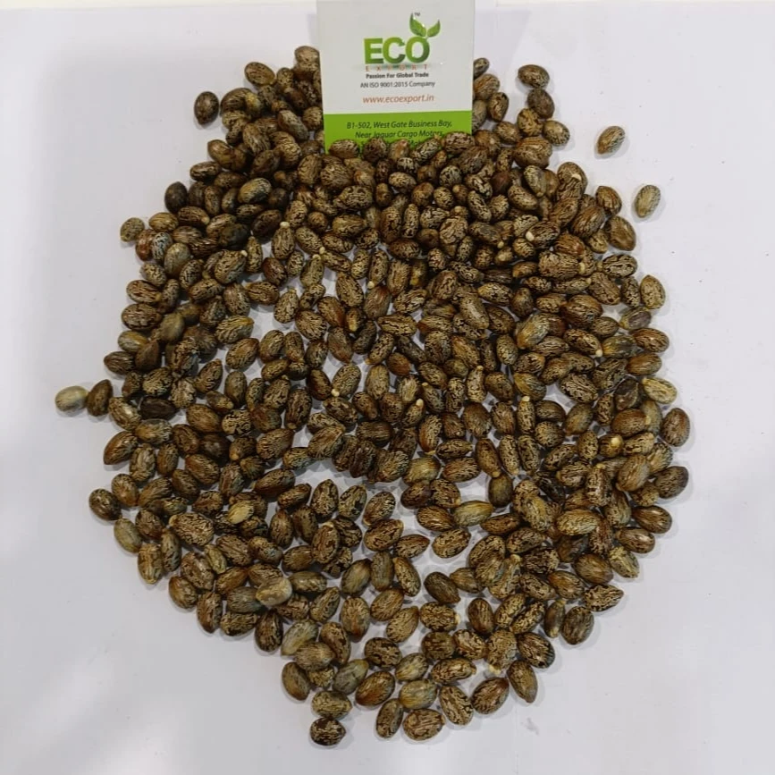 ricinus communis seed oil