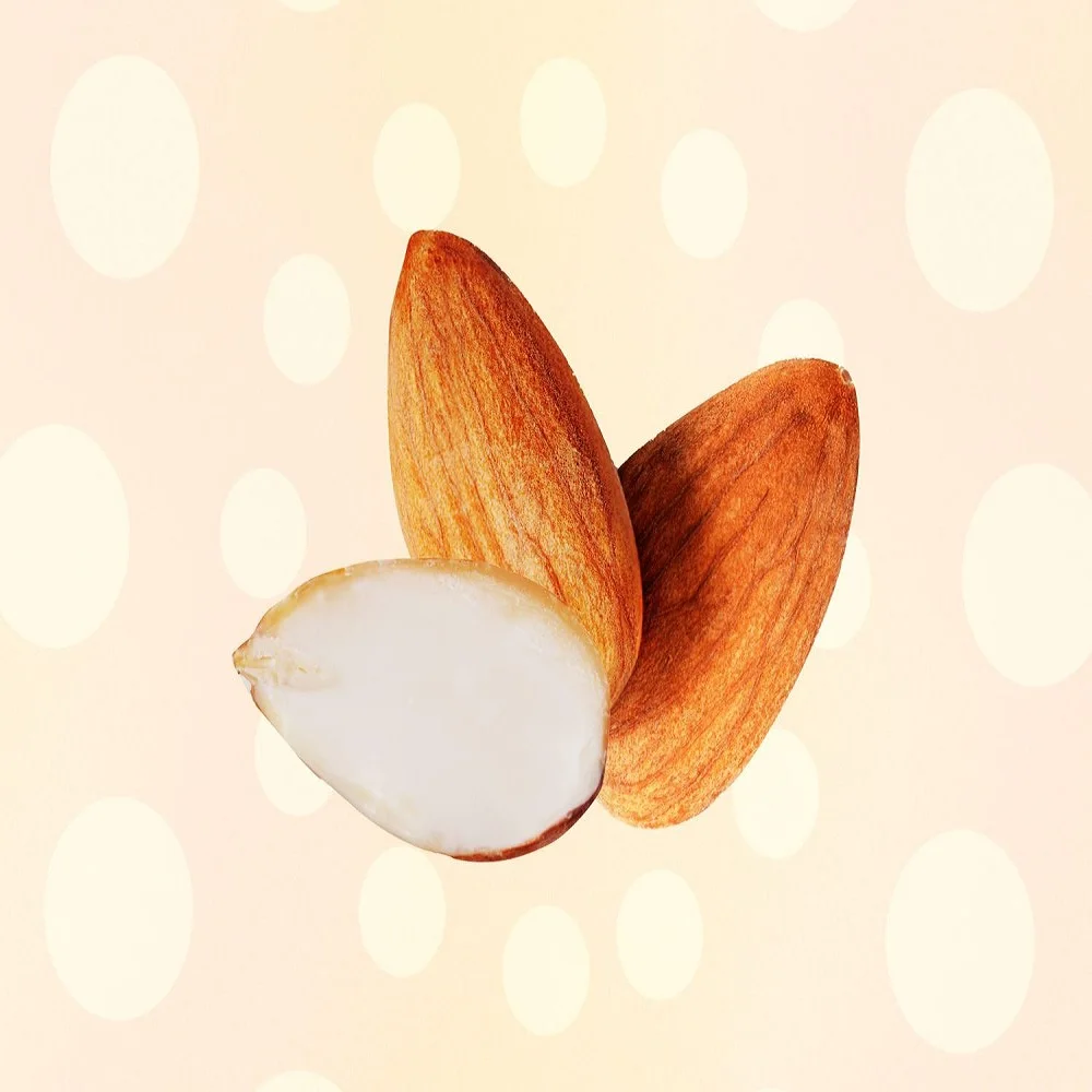 New Crop October natural raw nuts almond