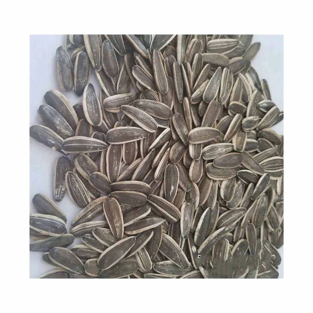 High Quality Sunflower seed for sale