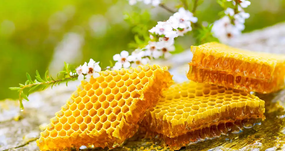 Raw Honey wholesale.jpg