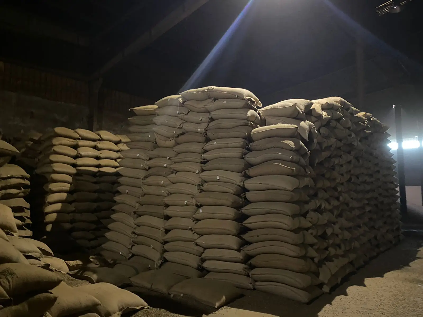 Новый Урожай 2024 вьетнамский зеленый кофе в зернах робуста и арабика Быстрая доставка низкая цена