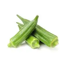 HOT SALE BEST SELLER 100% ORGANIC VEGETABLE FRESH OKRA from Thailand