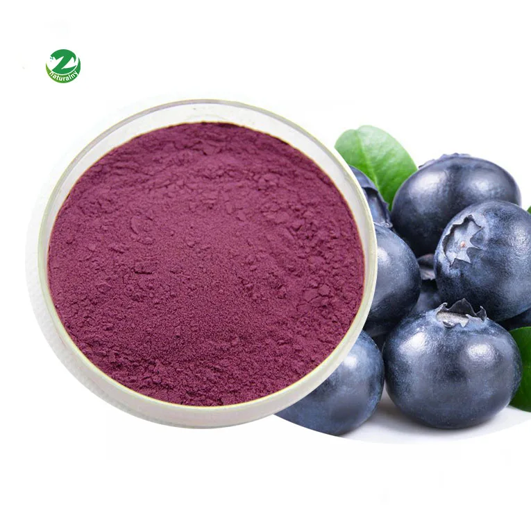 Factory direct supply of pure natural blueberry extract anthocyanin bilberry extract powder