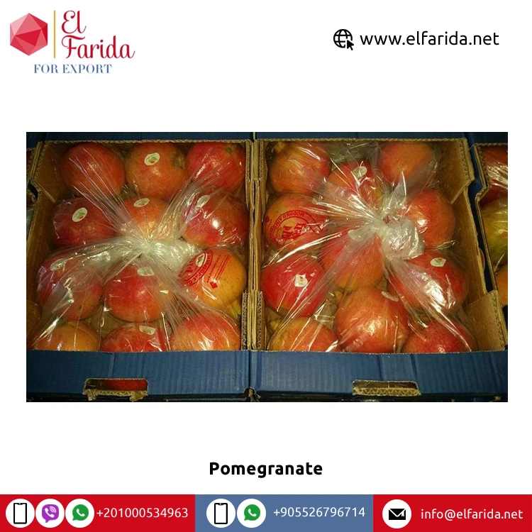 Best Quality Wholesale 100% Natural Sweet Delicious Egypt Origin Fruits Red Fresh Pomegranate at Competitive Price