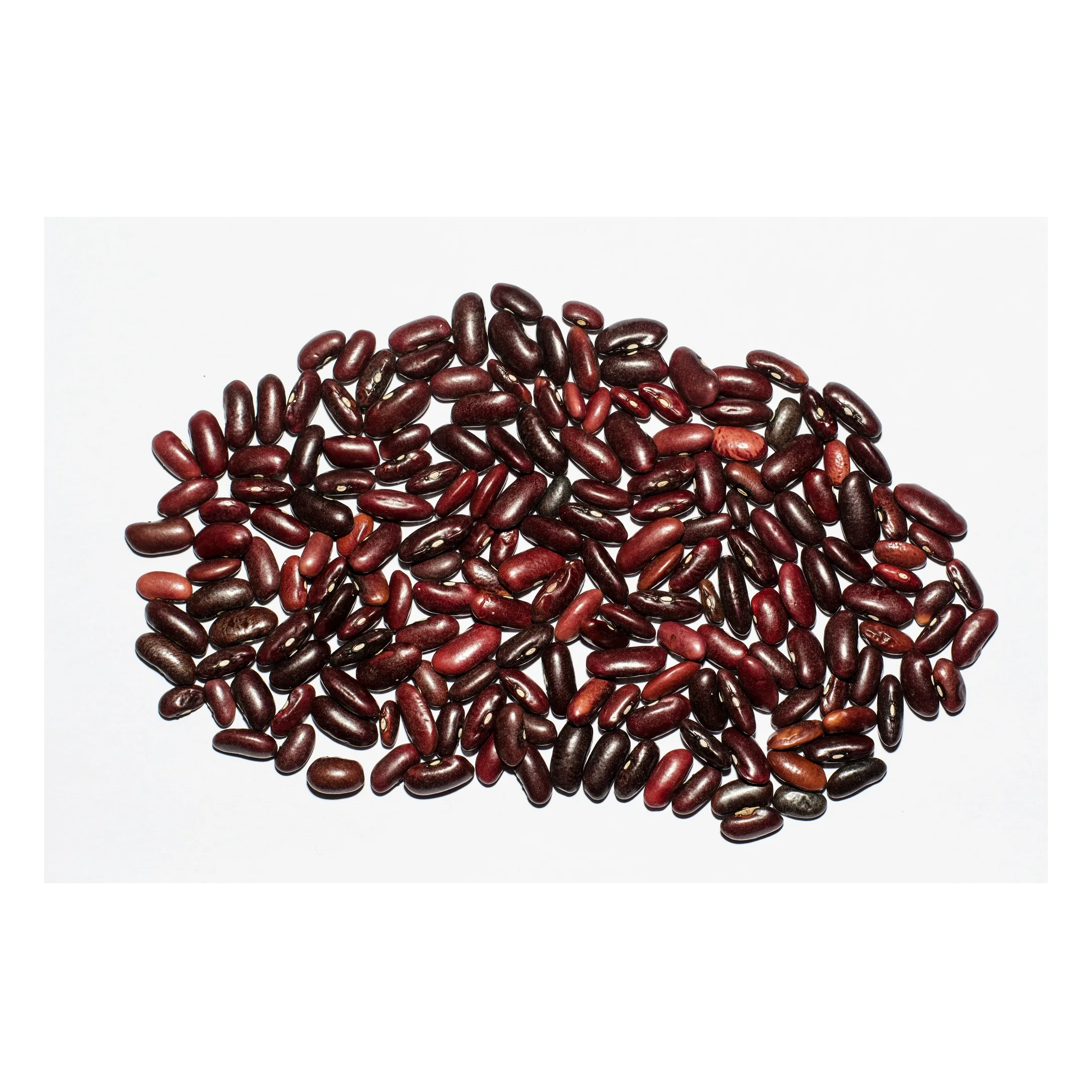 Buy Cheap Dark Red Kidney Beans Long Shape Kidney Beans for sale
