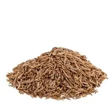 High quality Egyptian Caraway seeds Herbs spices Grade A FOR EXPORT