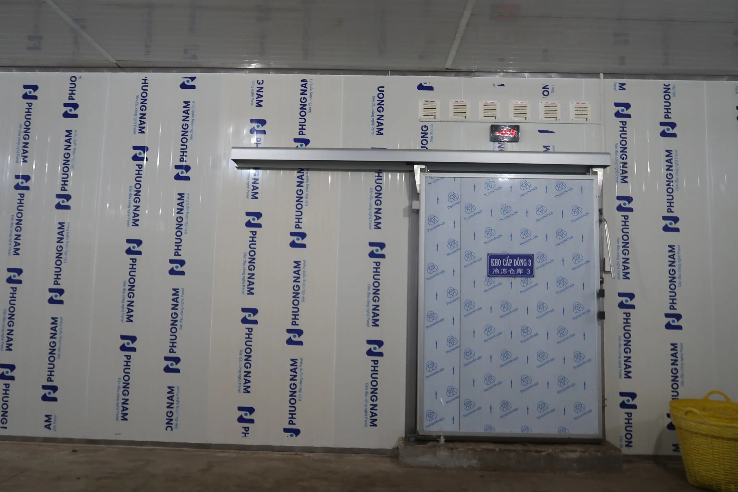 FROZEN DURIAN - NATURAL RIPE FOR FROZEN - PREMIUM WHOLESALER VERY FAT SWEET