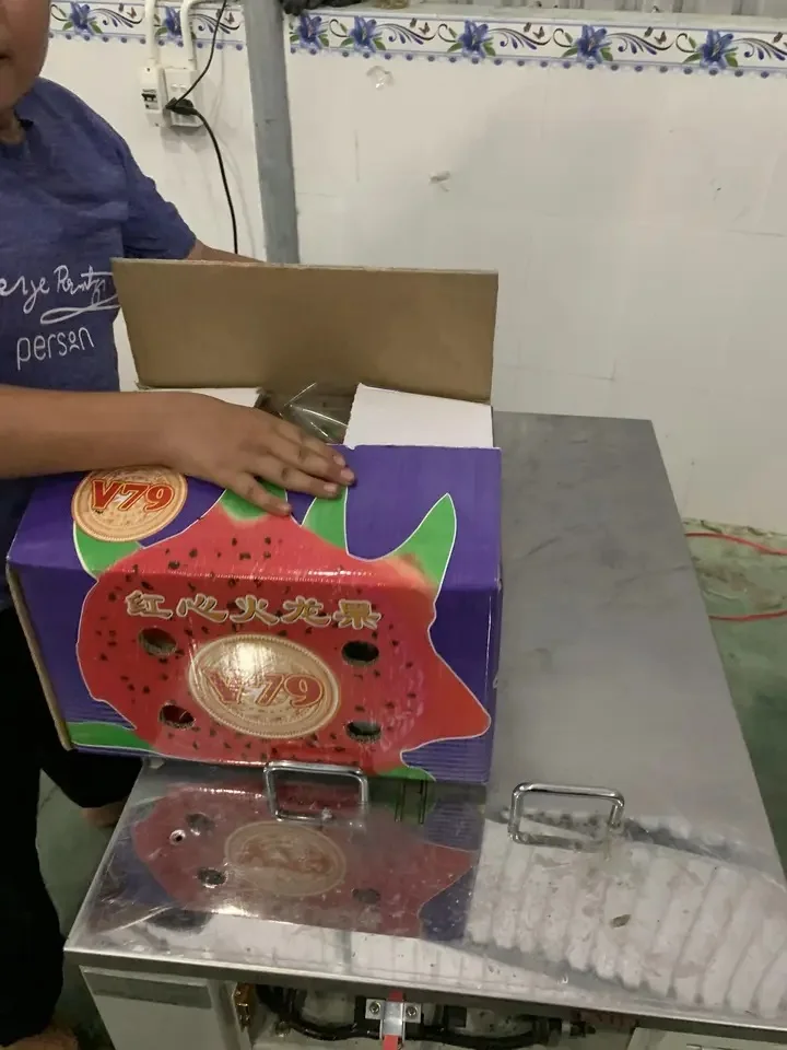 Vietnam 350g Dragon Fruit - Common Quality, Naturally Sweet, 100% Fresh, 6-Month Shelf Life