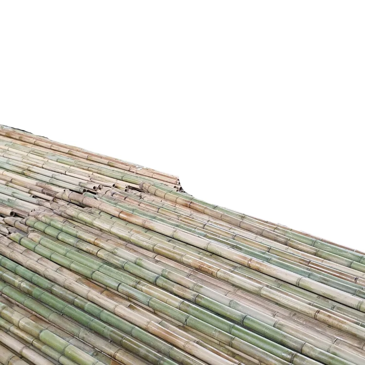 Cane Bamboo Pole for Plant Raw Materials Bamboo Viet FOA Sale Flower Hot Time Garden Support Feature Origin Cutting