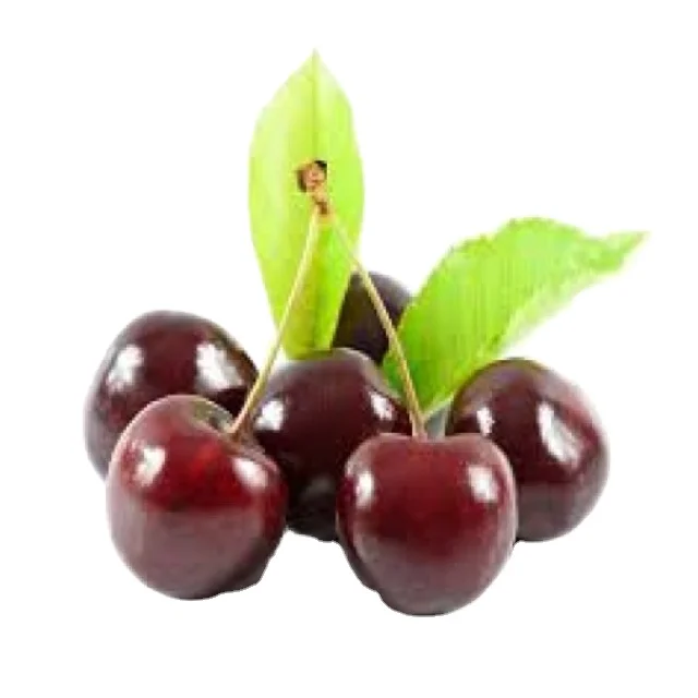 Top Grade Cherry Fresh Fruit High Quality 100% Best Selling Fresh Cherry Fruit at Cheap Price