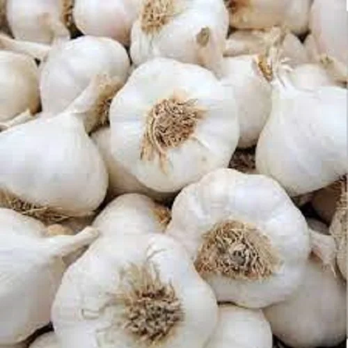 Hiigh Quality Healthy Fresh Garlic 100% Organic at Low Wholesale Price