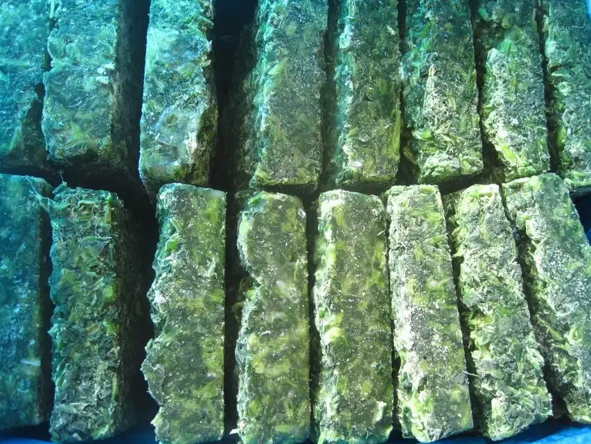 Замороженный вкусный шпинат премиум класса для продажи угол