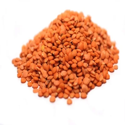 Ukrainian Factory Supplies Best Selling Red Lentils for Wholesale Bag Style Packaging Weight Shelf Label Origin Type Life Dried
