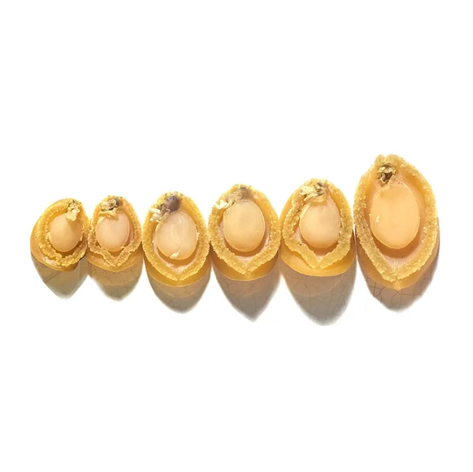 Different Specification of Dried Abalone available