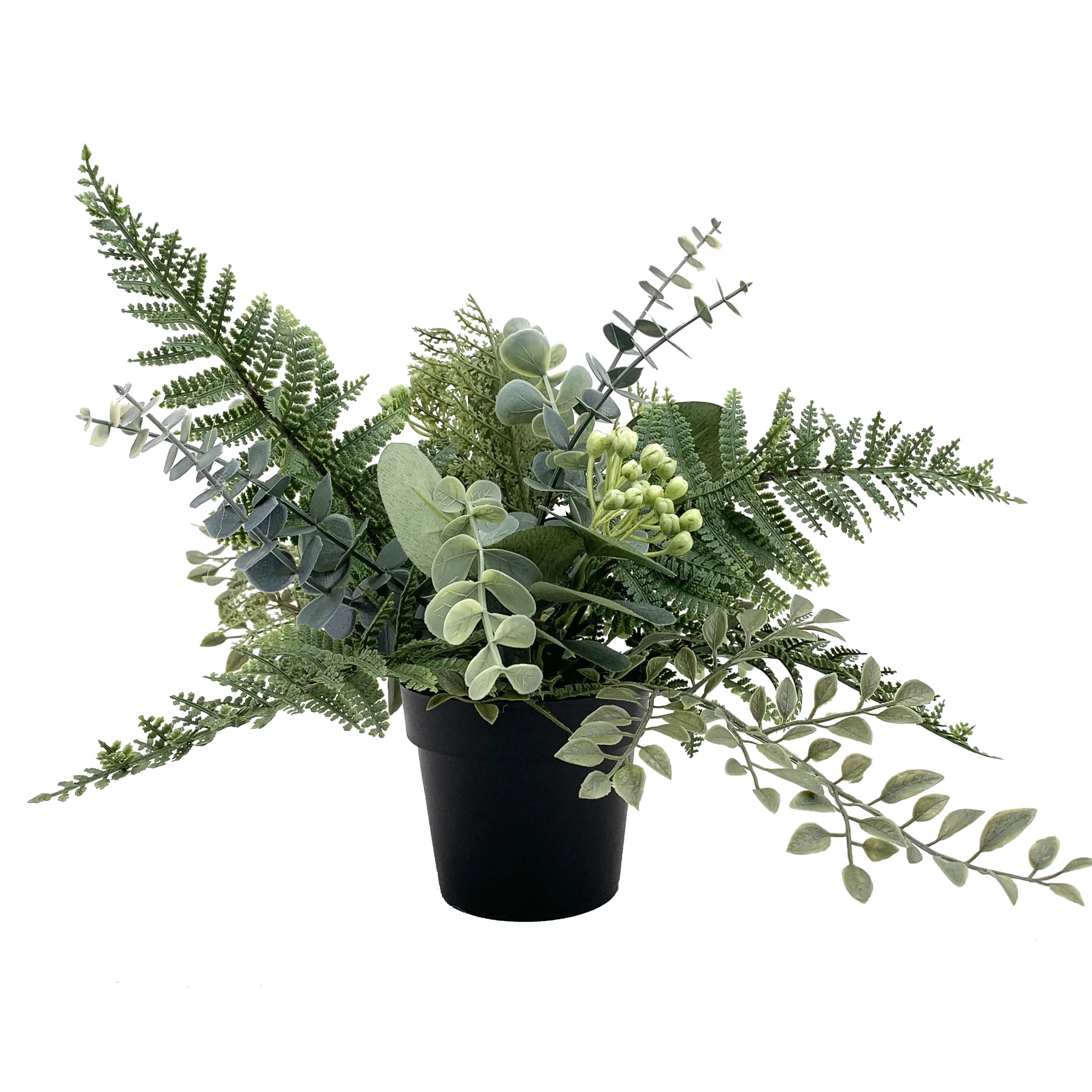 Popular Plastic Green everyday eucalyptus garden supplies clear plastic pots for plants Art decor terrace backyard home garden