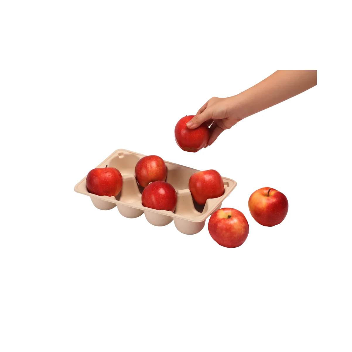 Fruit Tray paper  Packaging Bio Degradable Compostable Molded Pulp tray Custom Tray eco-friendly Vietnam Manufacturer