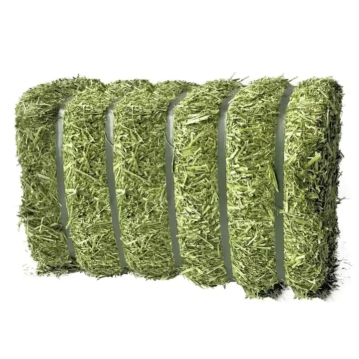 Dried and Fresh  Alfalfa Hay  Pellets  / Alfalfa Hay for sale