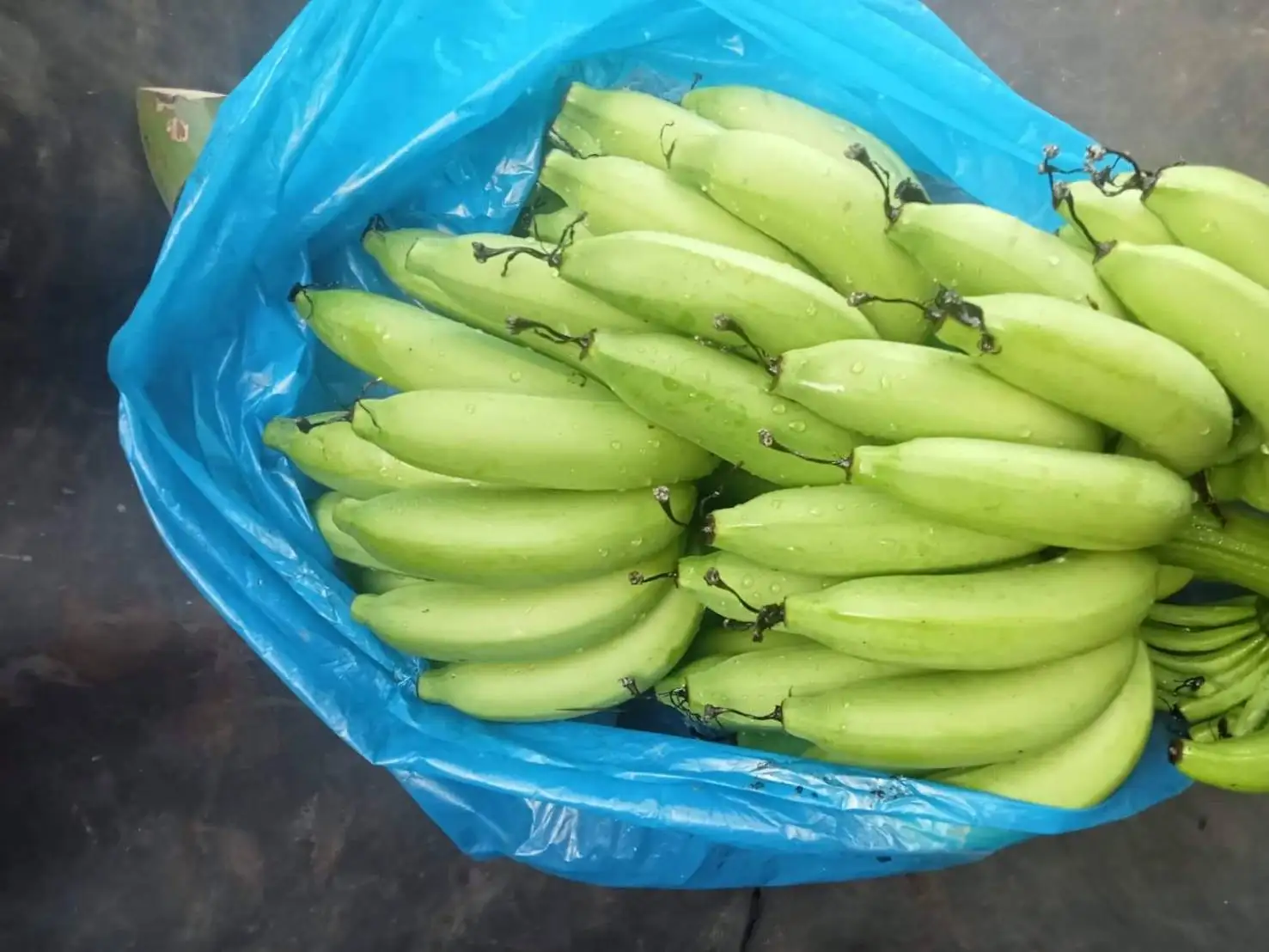 High Quality Tasty Sweet Bananas Delicious Banana Premium Type Natural 100 % Fresh From Thailand Farm