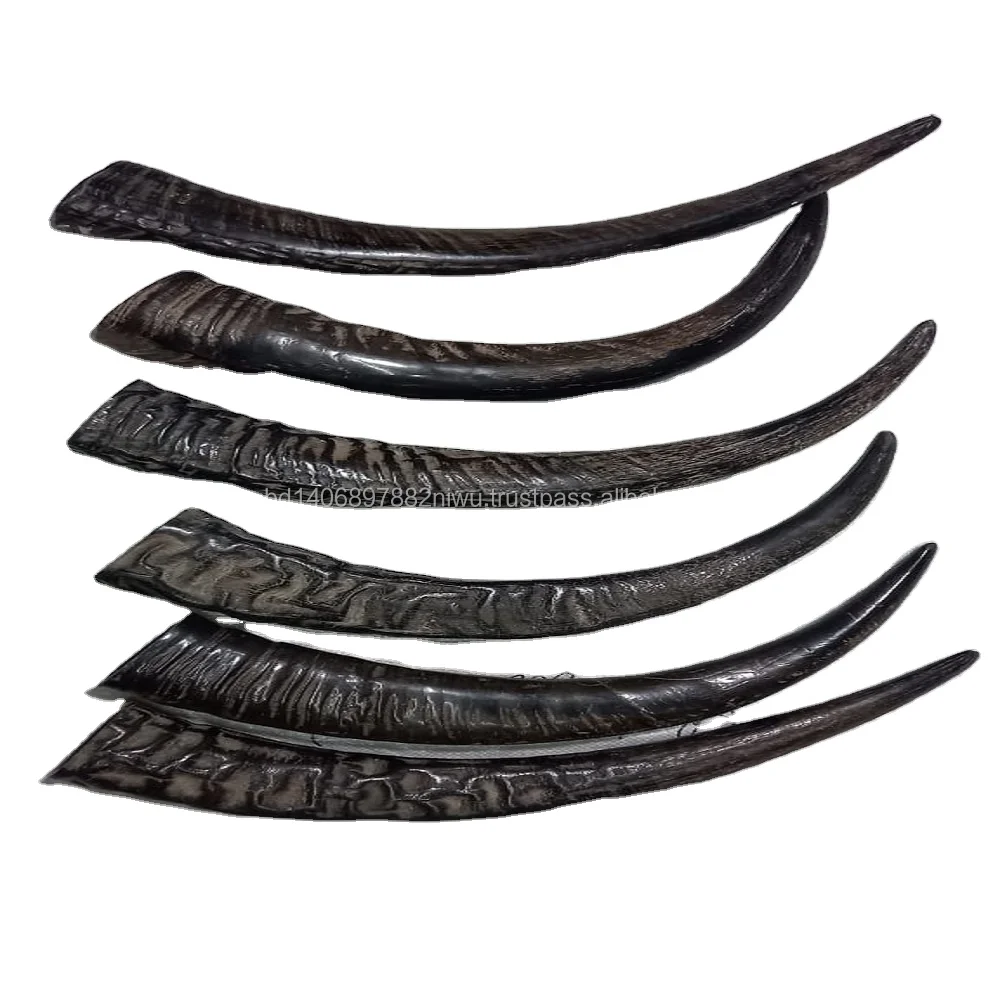 natural Buffalo raw Horn And Horn Tip/ and Quantity Black And natural Color for customized size and horn