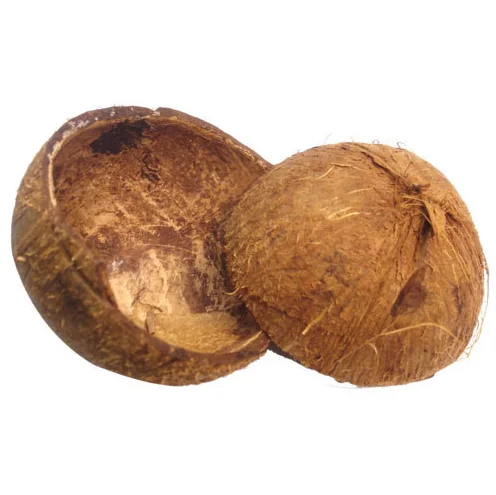 Natural Material Agricultural Waste Charcoal Coconut Shell Wholesale  Palm Kernel Shell Cheap Prices From Indonesia