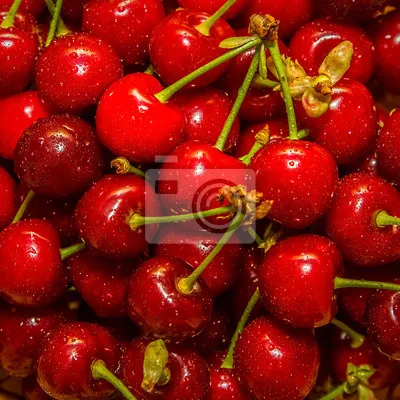 Quality Natural Taste Red Farm Fresh Cherries for sale available all over