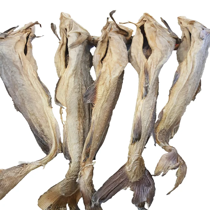 523 (2).png