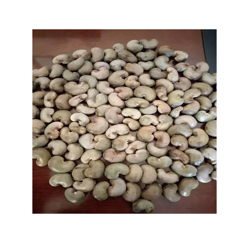 Export Quality Best Selling Premium Quality Original Flavor Good Taste Raw Dried Cashew Nuts at Reasonable Price