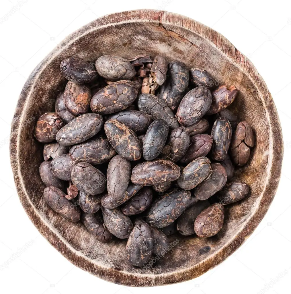 Top Quality Manufacturer Wholesale Bulk Cocoa Beans / Raw Coco Beans