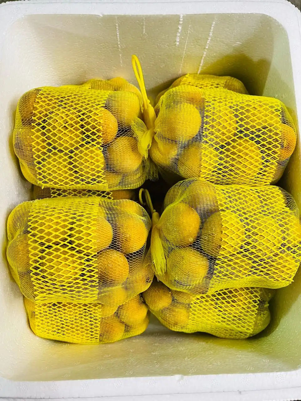 FRESH LONGAN and frozen longan GOOD PRICE FROM VIETNAM  contact +84963818434