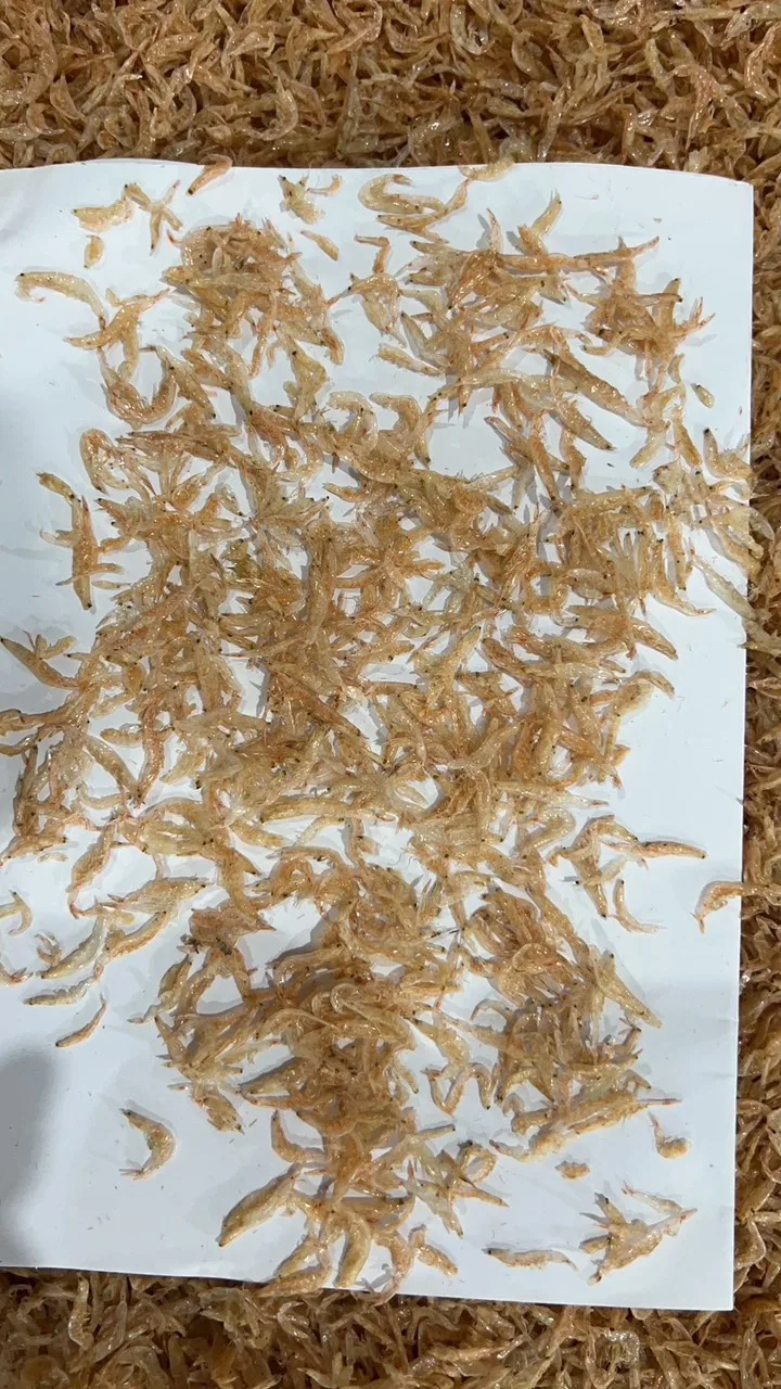 Vietnam Export Products Baby Shrimp Wholesale Package Sun Dry Type Competitive Price Customize or PE Bag Dried Baby Shrimp