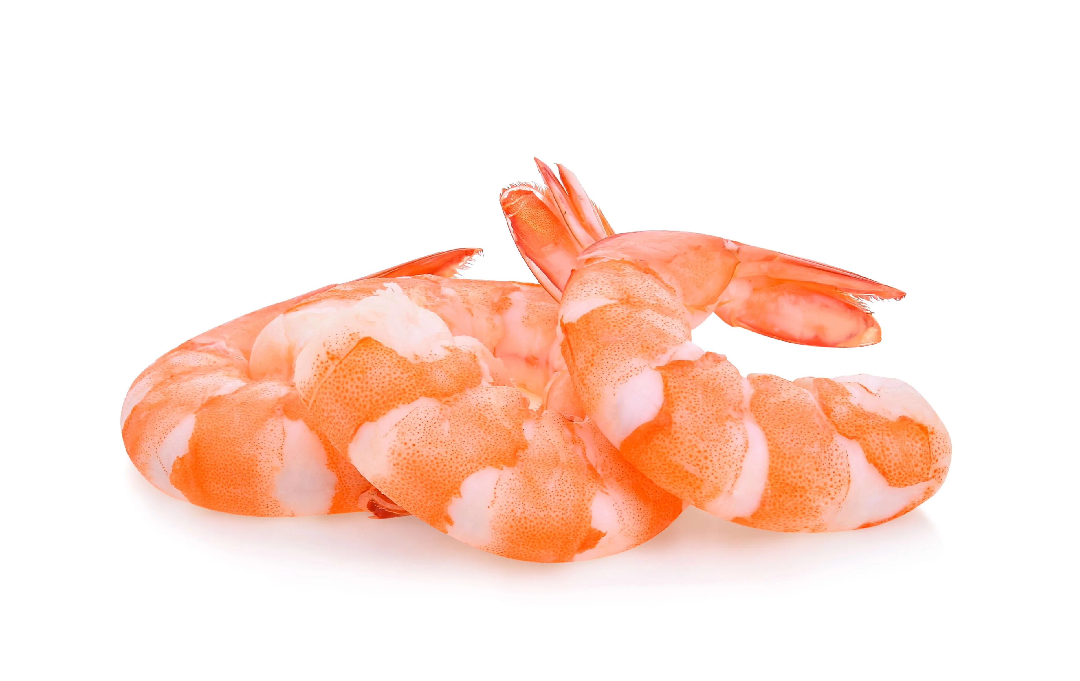 Vannamei Shrimp Fresh Clean Shrimp Vietnam supplies Best Choice High Quality Vannamei shrimp fresh food