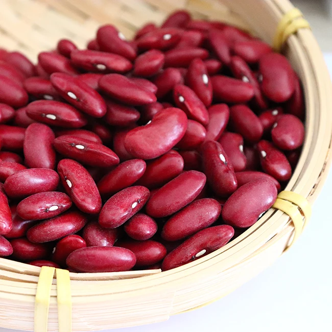 For Sale red kidney beans price with Light Speckled Kidney Beans