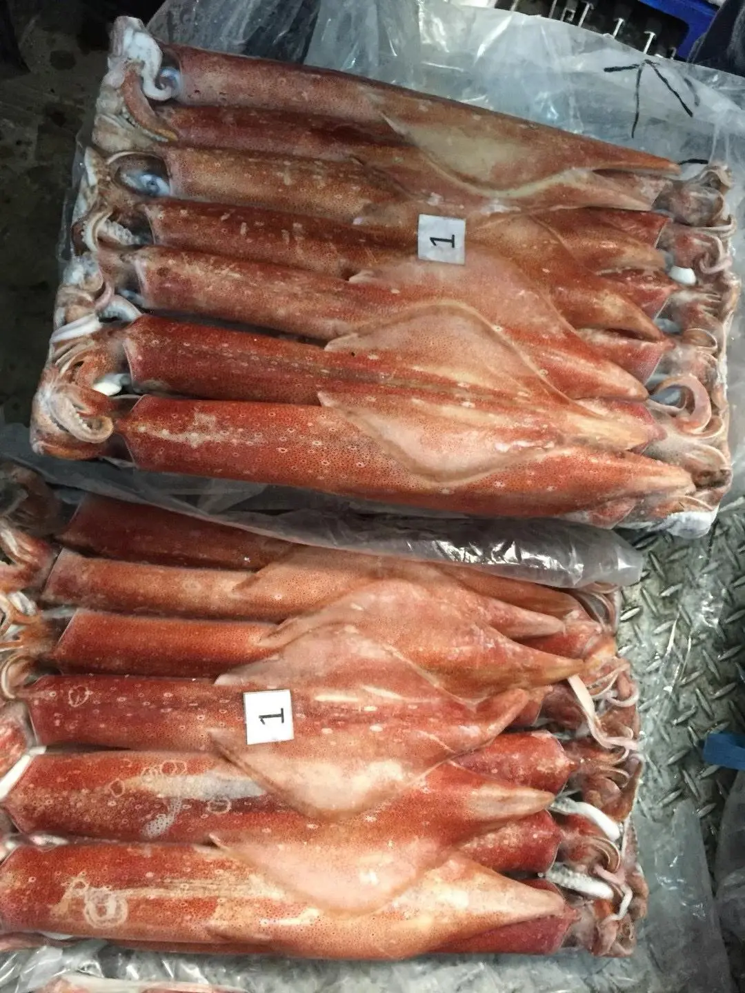 Block Frozen Indonesia Squid Scientic name of Todarodes Pacificus