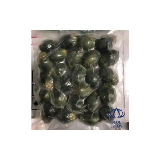 Замороженный зеленый орех Areca