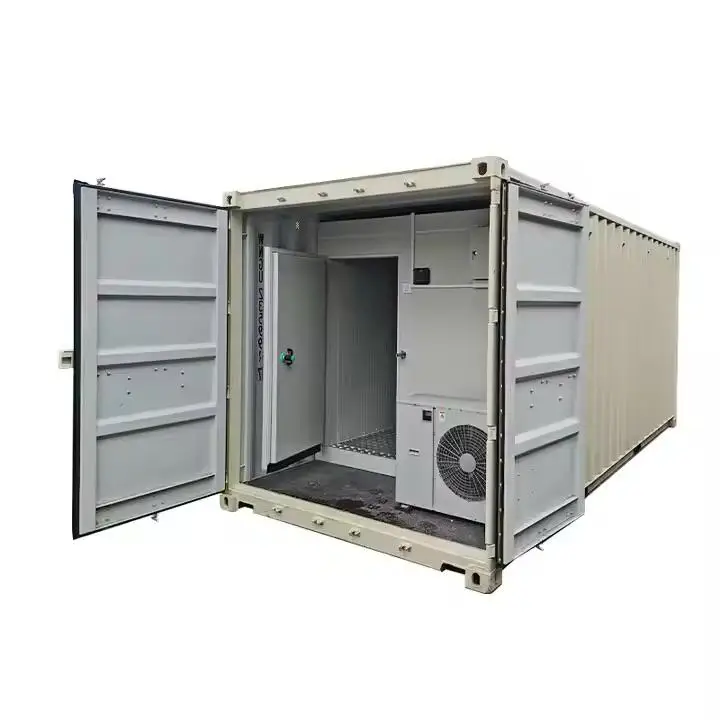 20ft Freezer Container Cold Storage Room Reefer Container 20 feet Refrigerated Shipping Container
