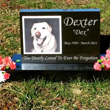 Высококачественный индийский черный гранит, современный дизайн, своевременная доставка, абсолютная черная плитка из натуральных блоков, столешницы для вилл