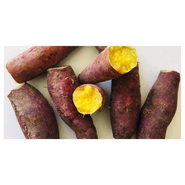 cheap price viet nam Sweet potato new harvest crop fresh customized size orange purple top quality  best seller wholesale delic