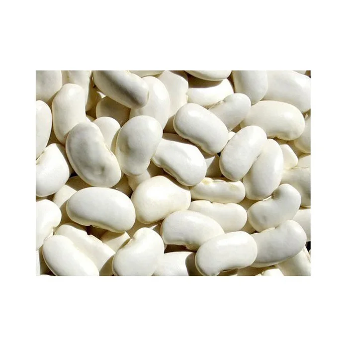 Cheap Wholesale Top Quality white kidney Beans In Bulk White Kidney Beans Hot Selling Organic Dry White Kidney Beans