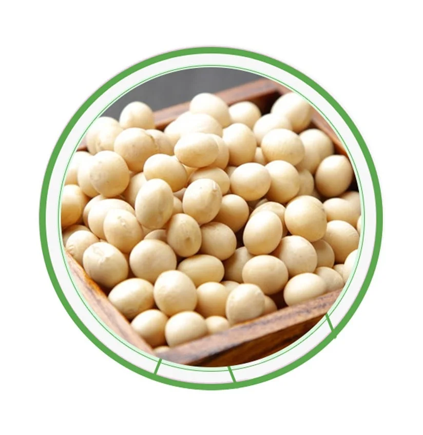 Wholesale Organic Non-Gmo Soyabean Yellow Soybean Soja Soya Beans