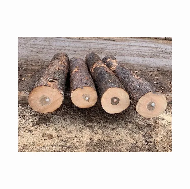 Black Walnut wood Square And Round Logs Top Grade Maple, Luan, Ayous wood, Walnut Fancy Wood Plywood Prices Logs