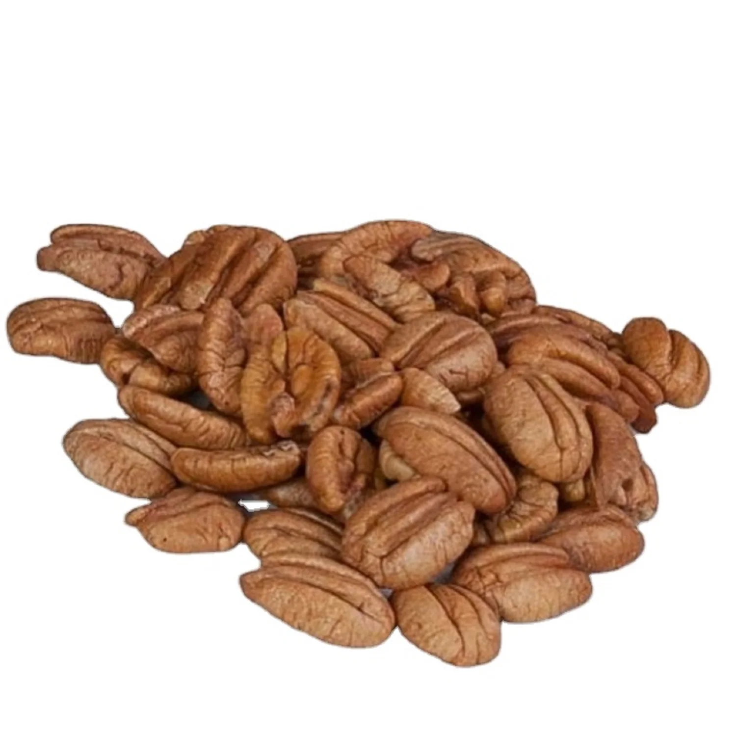 Buy Premium quality Pecan Nuts Raw organic Fresh Pecan Nuts snacks wholesale Pecan nuts Vacuum bag 15kg
