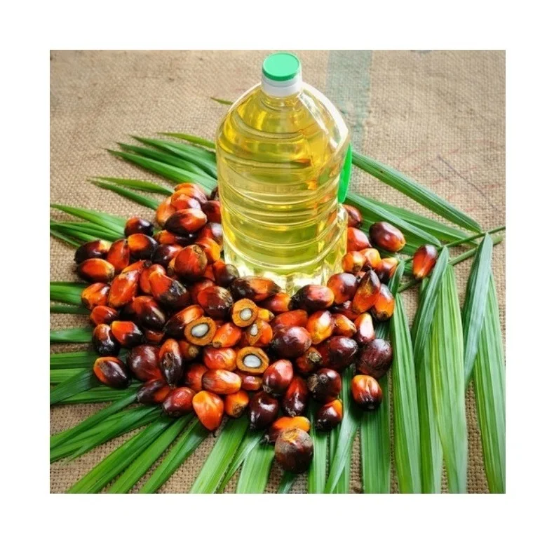 Cheap Wholesale Top Quality RBD Palm Olein - Crude Oil 100% Refined in Bulk
