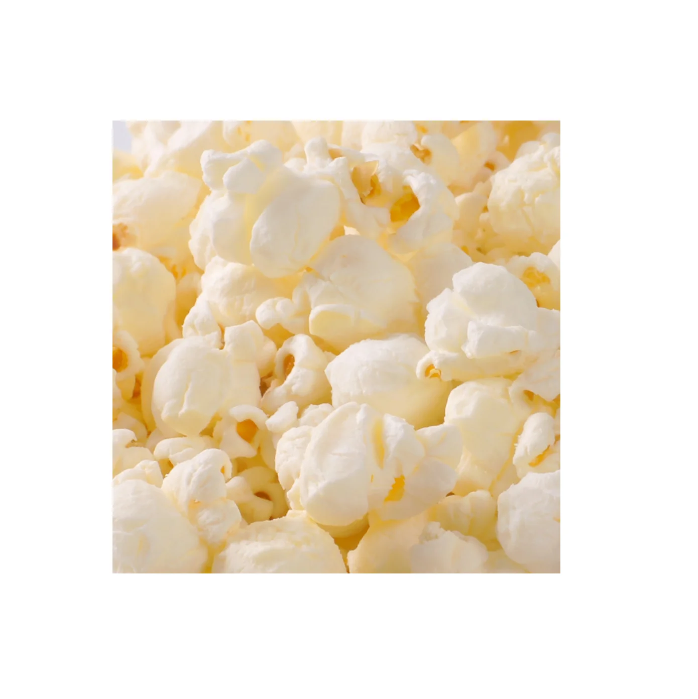 New Popcorn Kernel for sale / Butterfly Popcorn and cheap price best quality Mushroom Popcorn Kernels for sale