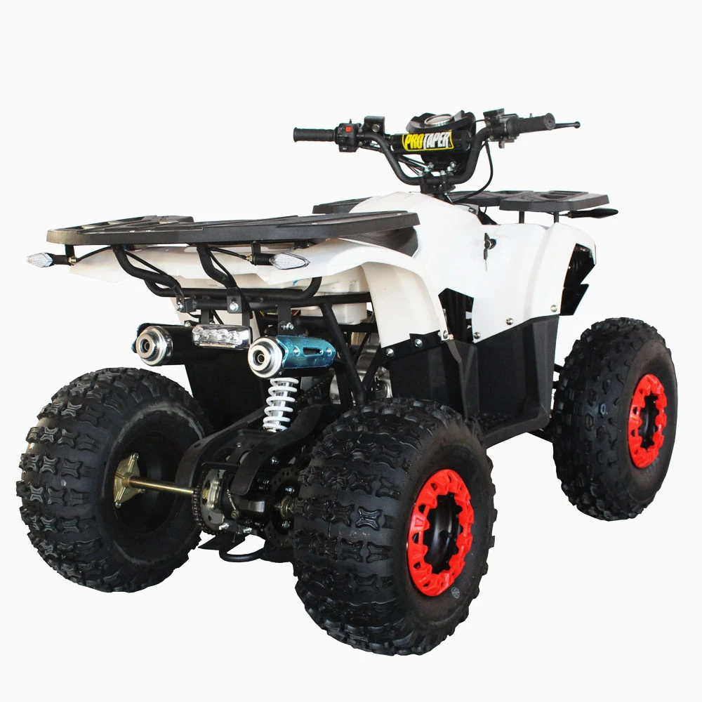 Popular ATV Quad 250cc Quad Bike best design diesel power engine with automatic brake transmission chain drive power engine