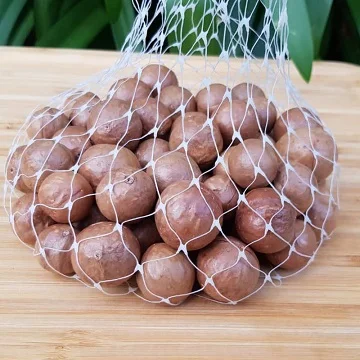 High Quality Dried Organic Macadamia Nuts