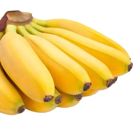 Indian fresh Sweet yellow Banana from the Indian Suppliers and Manufacturing in a premium quality at best price