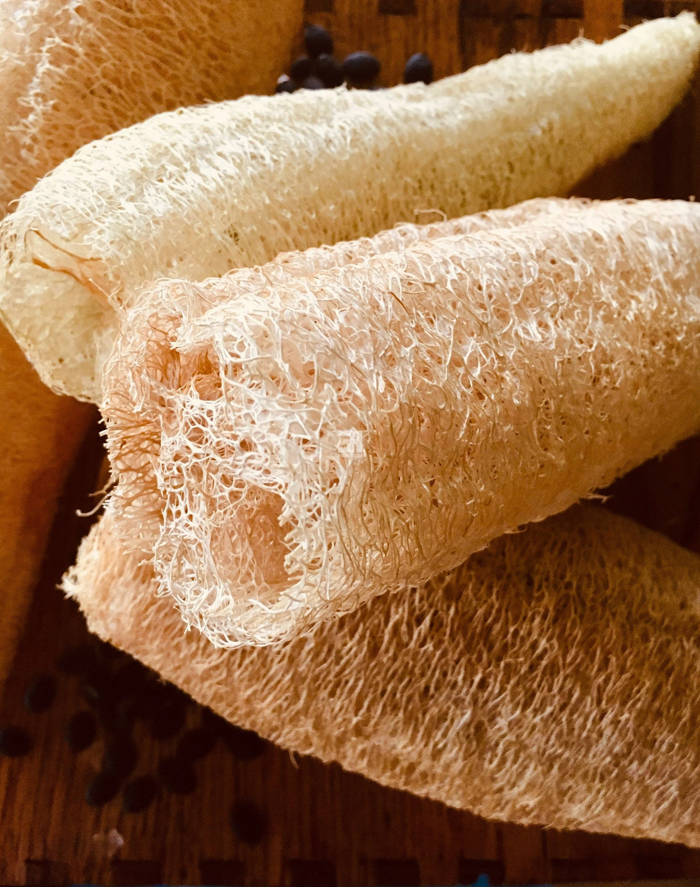 Natural Pet Chew Pet Toy Loofah 100% Natural With Many Shapes With High Quality Ms Nancy +84 981 85 90 69