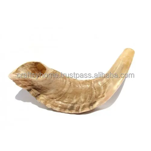 Ram Horn Shofar Natural Horn Shofar For Blowing Top Quality Kosher Shofar Kudu Polished Ram Horn at Low Price