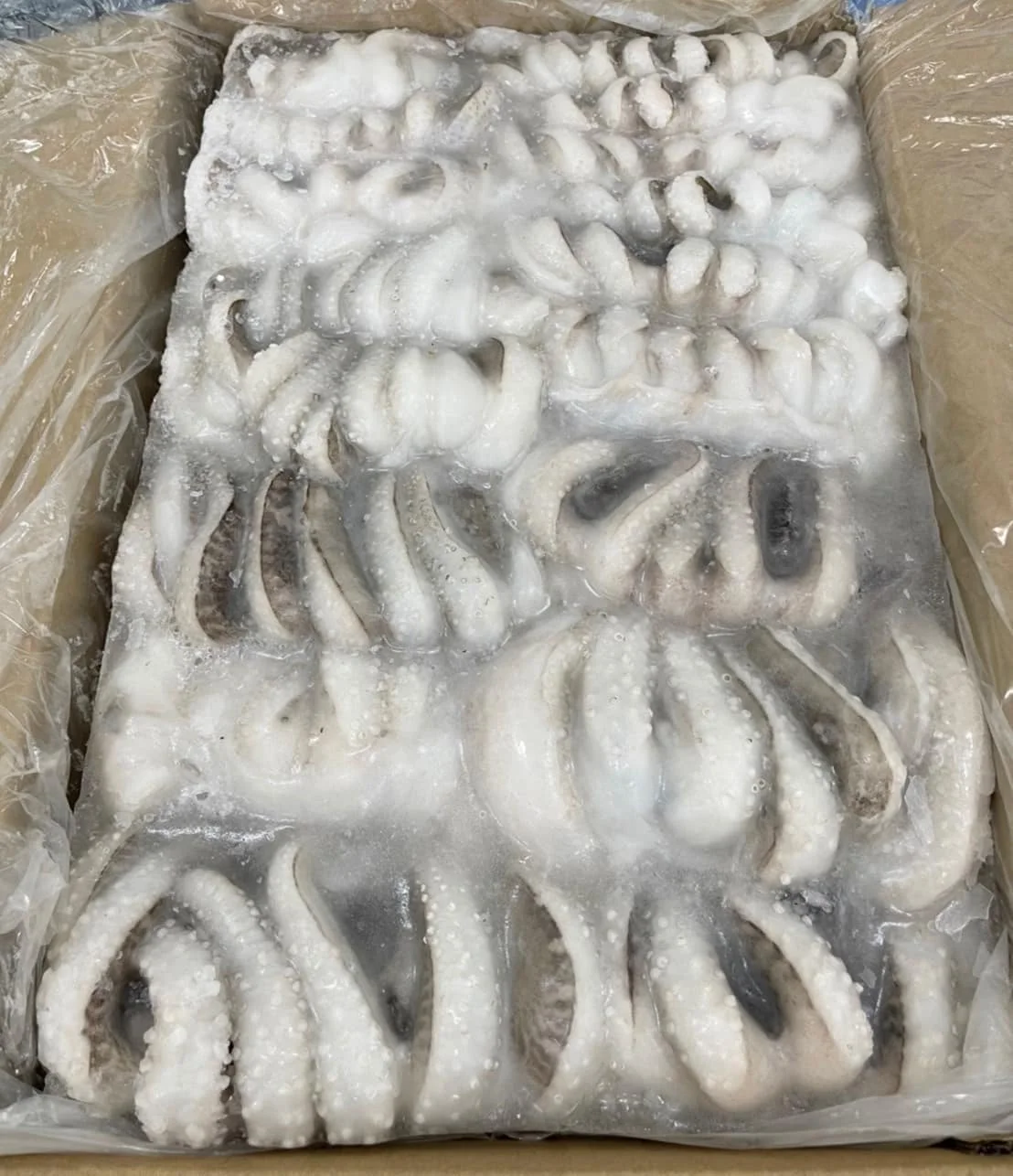 Frozen squid tentacles One box weighs 1 kg Squid weight 800g Net weight 1000g sea food frozen seafood Frozen squid
